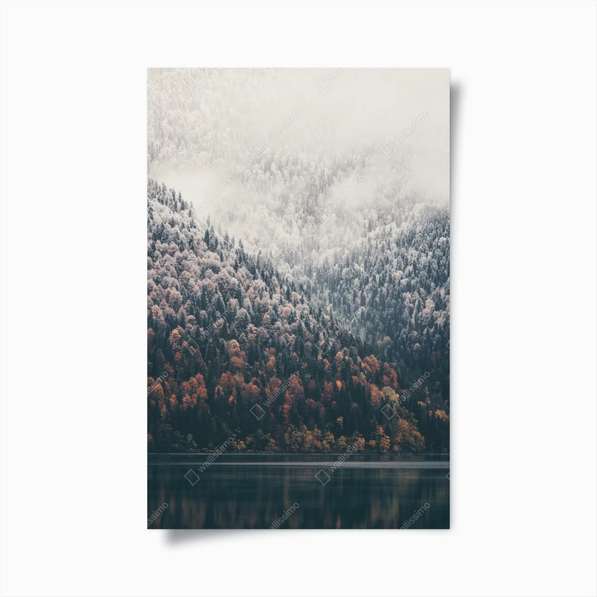 Poster herbstlicher nebel über bergwald – Wallnifity®