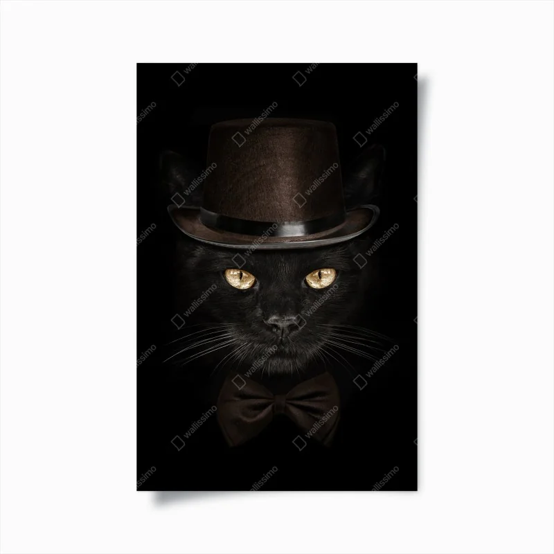 Poster elegante schwarze katze mit zylinder und fliege