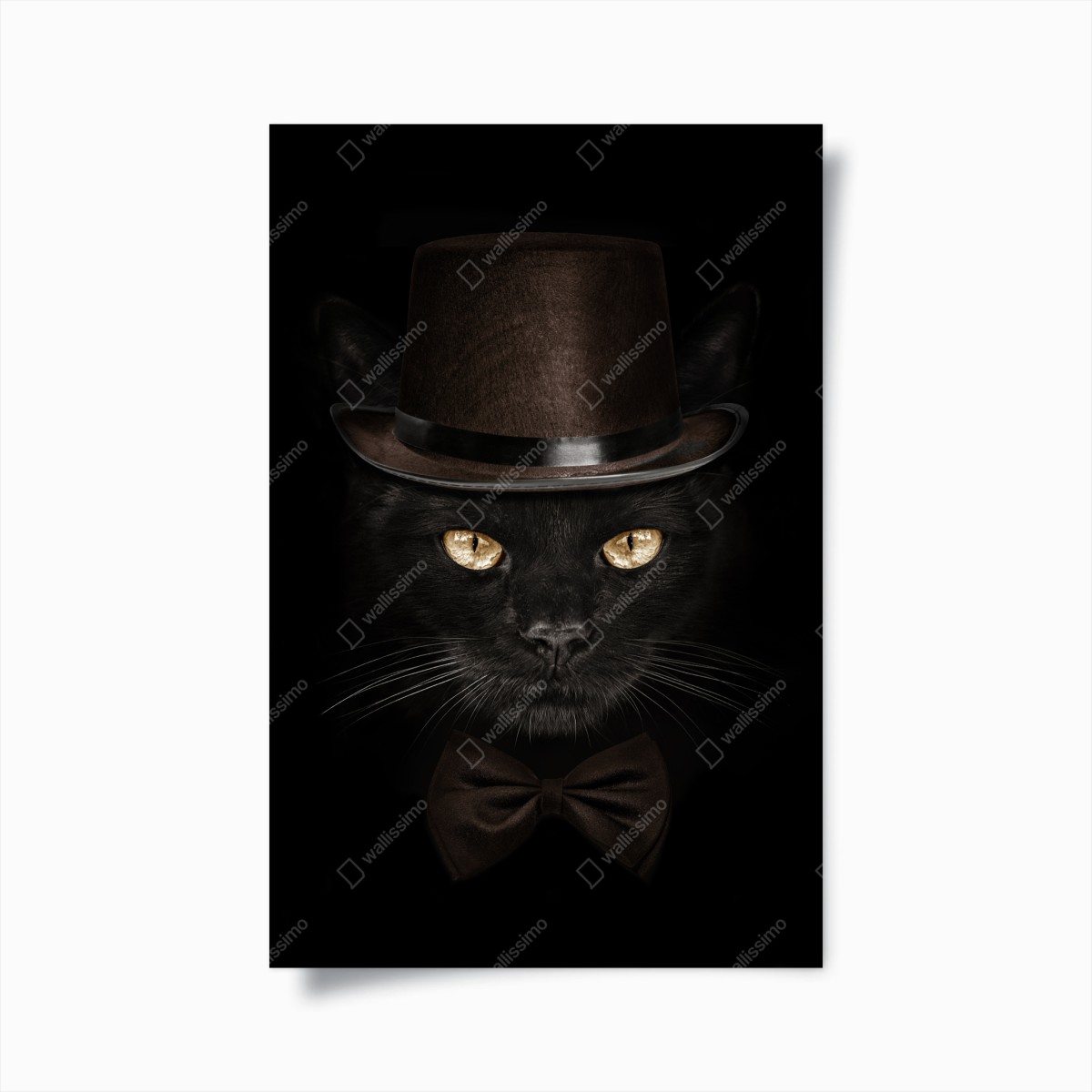 Poster elegante schwarze katze mit zylinder und fliege – Wallnifity® Poster elegante schwarze katze mit zylinder und fliege – Wallnifity®