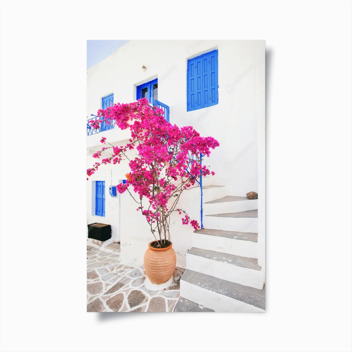 Poster rosa bougainvillea vor weißem haus auf griechischer insel – Wallnifity® Poster rosa bougainvillea vor weißem haus auf griechischer insel – Wallnifity®