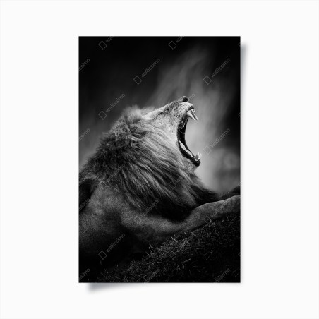 Poster majestätischer brüllender löwe in monochrom – Wallnifity®