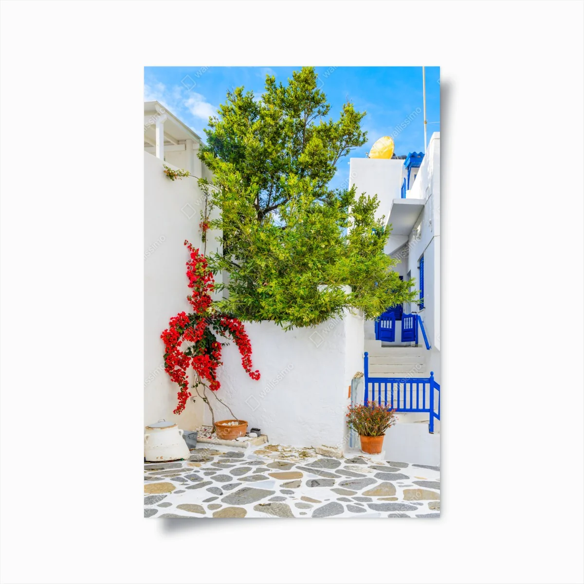 Poster sonniger mediterraner innenhof mit bougainvillea – Wallnifity® Poster sonniger mediterraner innenhof mit bougainvillea – Wallnifity®