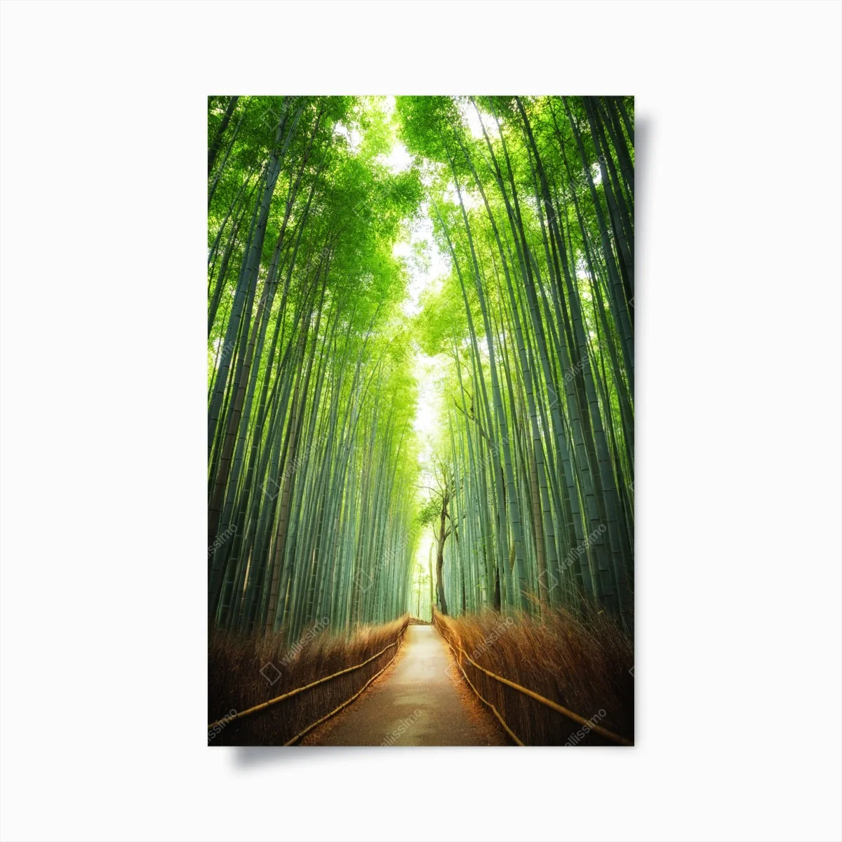 Poster weg durch den bambushain von Arashiyama – Wallnifity® Poster weg durch den bambushain von Arashiyama – Wallnifity®