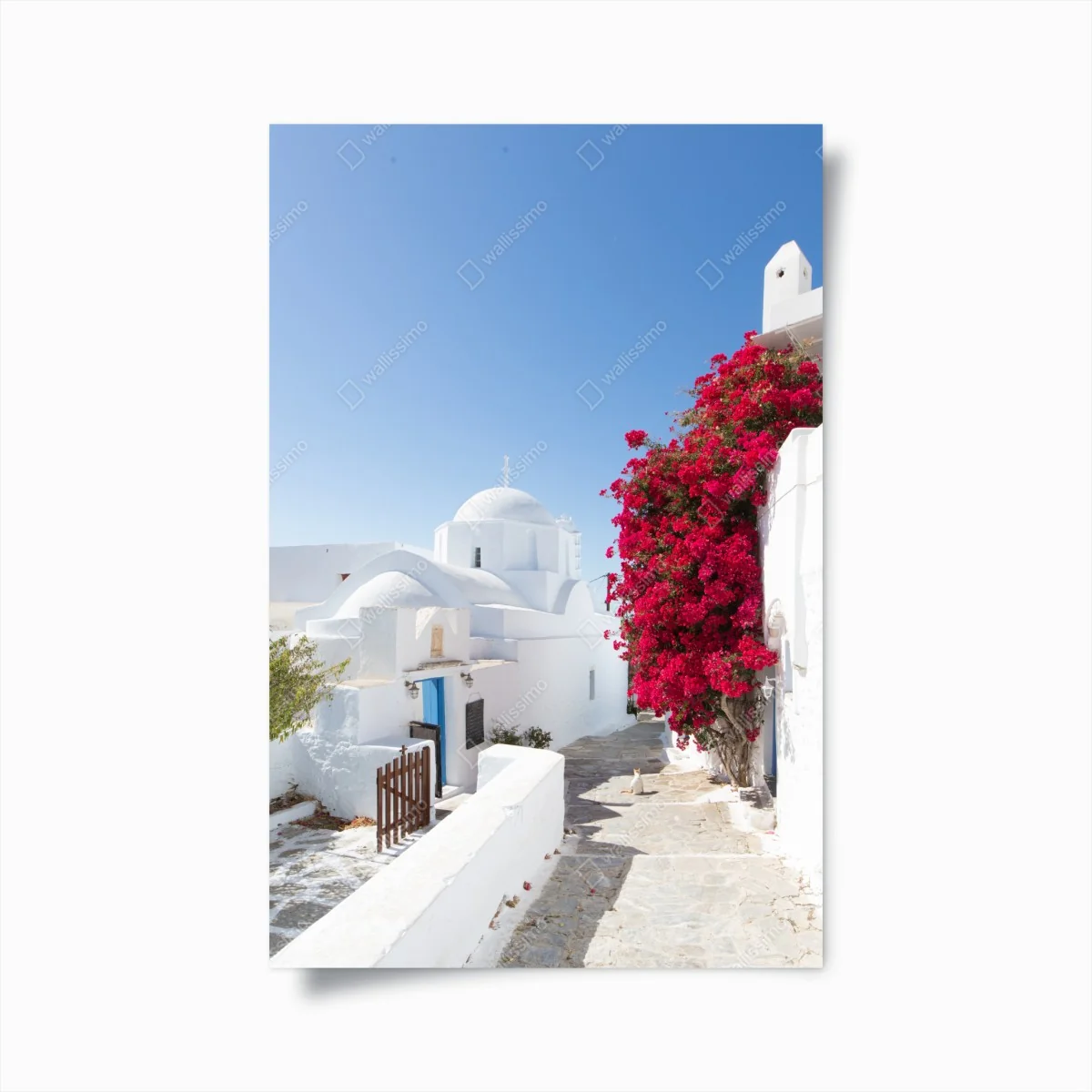 Poster sonnige gasse auf der insel mit leuchtender buganvillea – Wallnifity® Poster sonnige gasse auf der insel mit leuchtender buganvillea – Wallnifity®