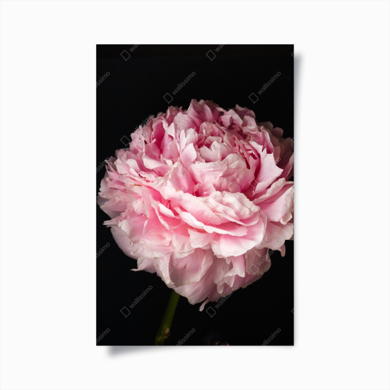 Poster neblige blaue bergschichten – Wallnifity®