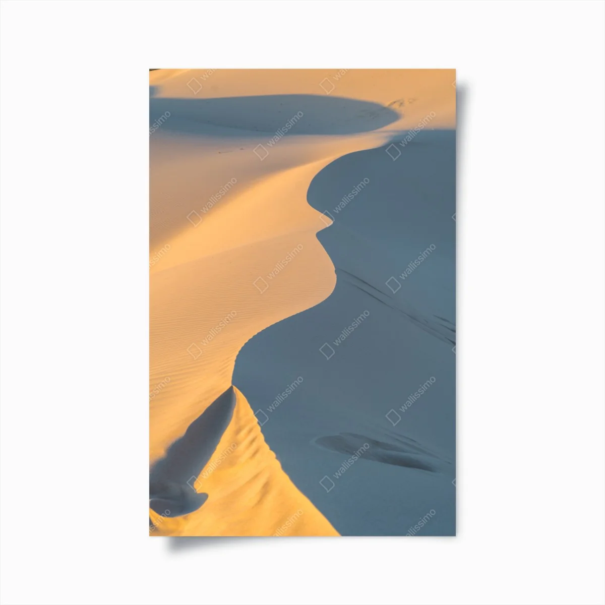 Poster goldene dünenkurven – Wallnifity®