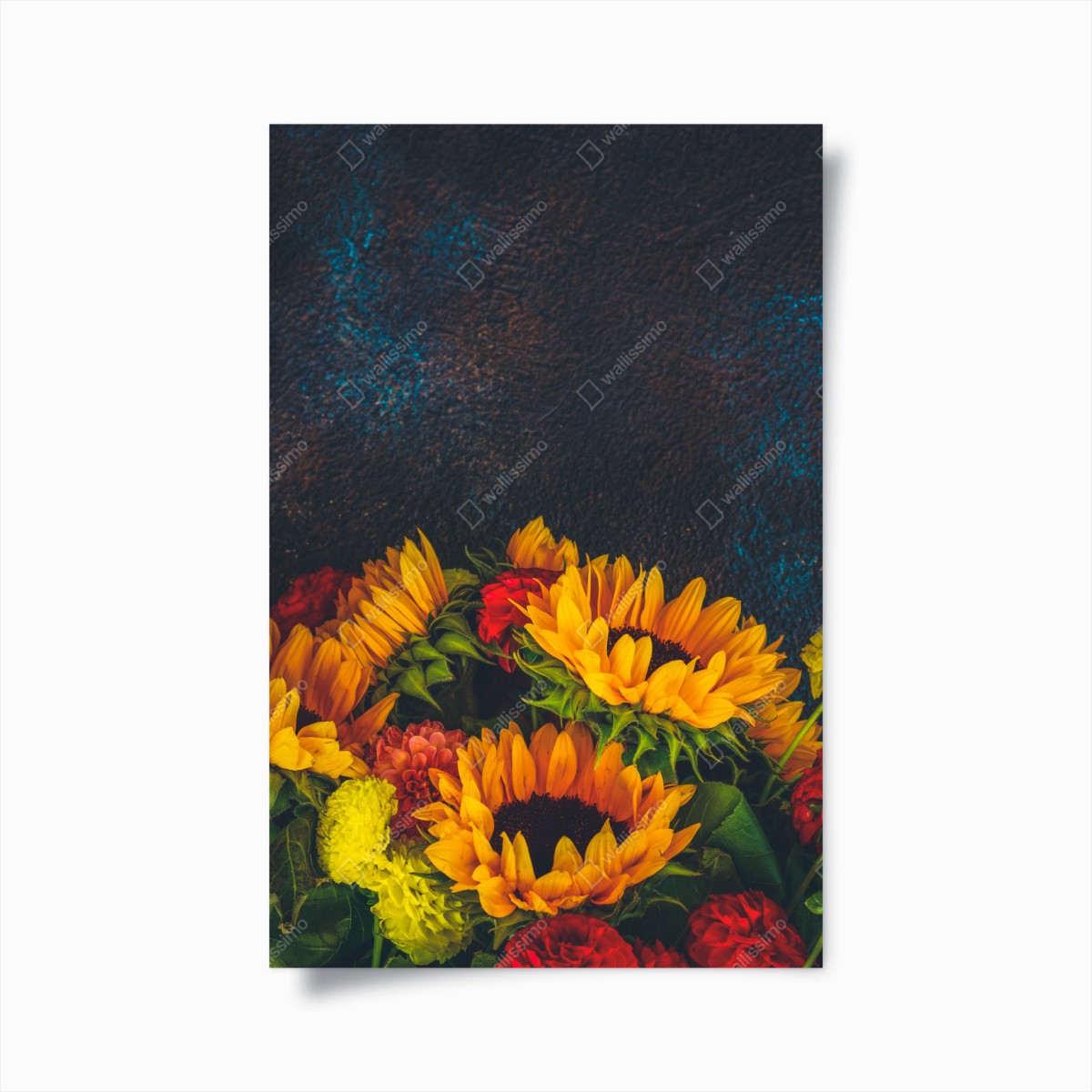 Poster lebendiger sonnenblumenstrauß vor dunklem hintergrund – Wallnifity®