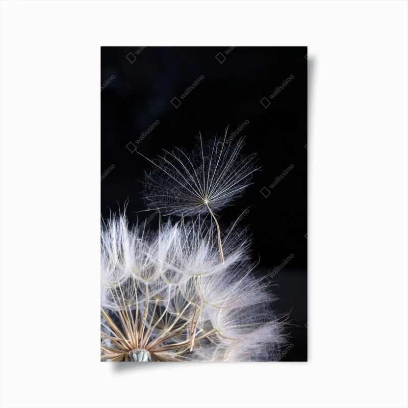 Poster ruhige blaue wellen mit goldakzenten – Wallnifity®