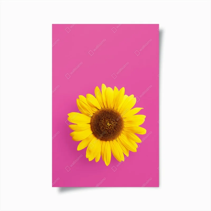 Poster schwarzer marmor mit goldenen adern – Wallnifity®