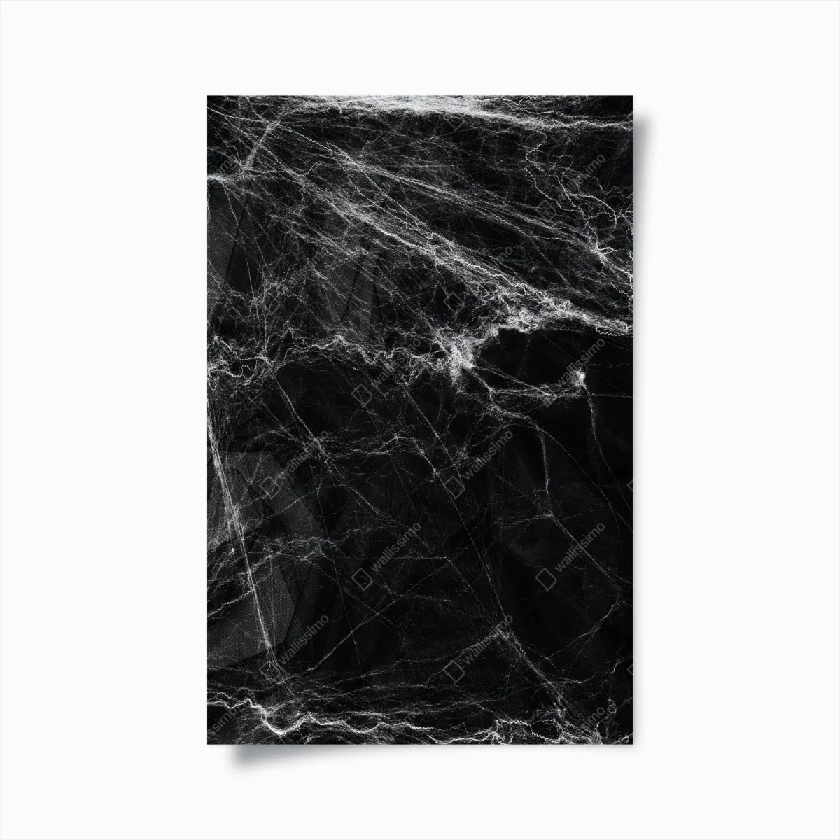 Poster gespenstisches spinnennetz auf schwarzem hintergrund – Wallnifity®