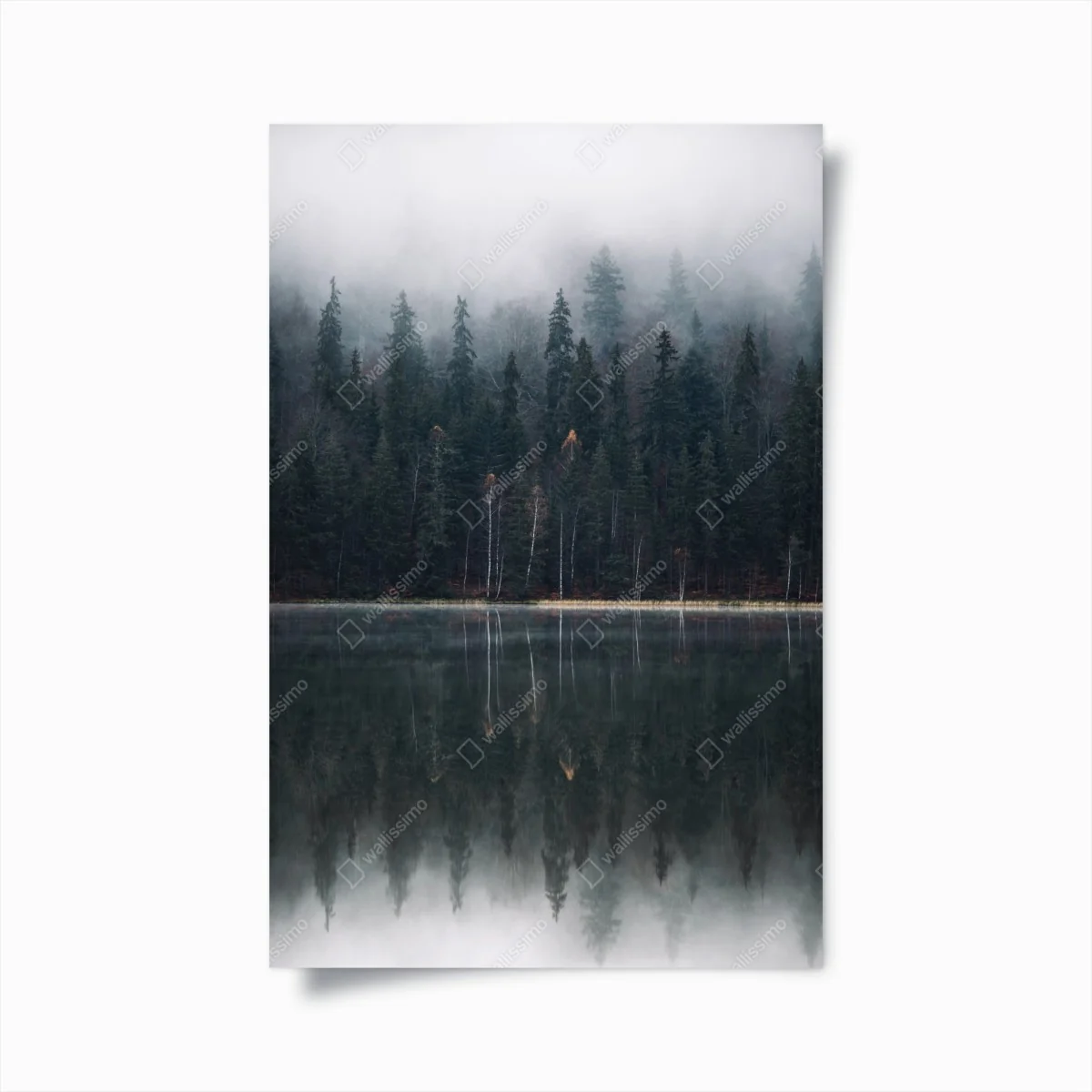 Poster neblige waldreflexion – Wallnifity®
