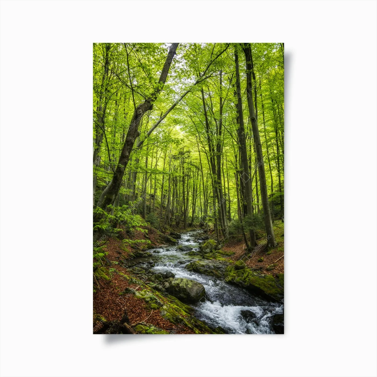 Poster ruhiger grüner waldbach – Wallnifity® Poster ruhiger grüner waldbach – Wallnifity®