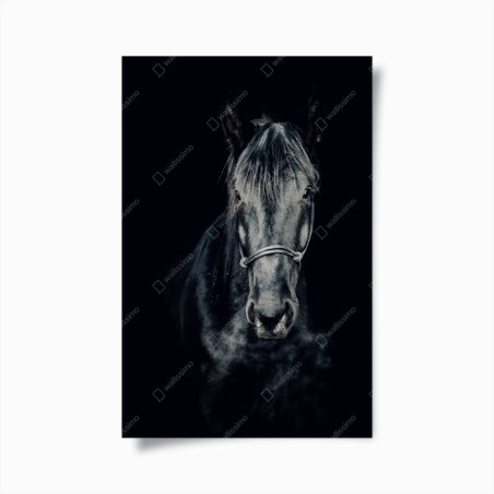 Poster majestätisches schwarzes pferdeporträt – Wallnifity®