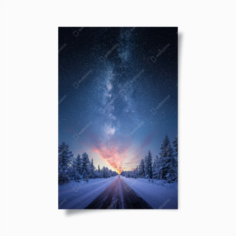 Poster bunte strelitzie mit tropischen blättern – Wallnifity®