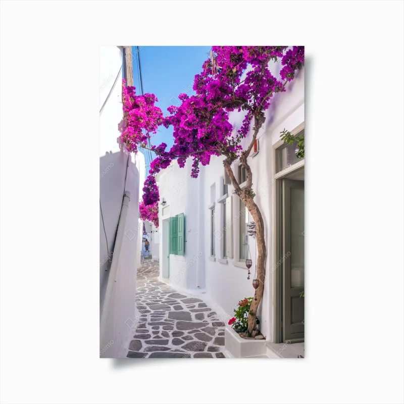 Poster sonnige mediterrane gasse mit bougainvillea