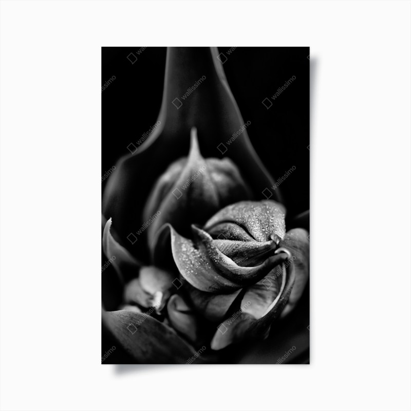 Poster schwarze marmortextur – Wallnifity®