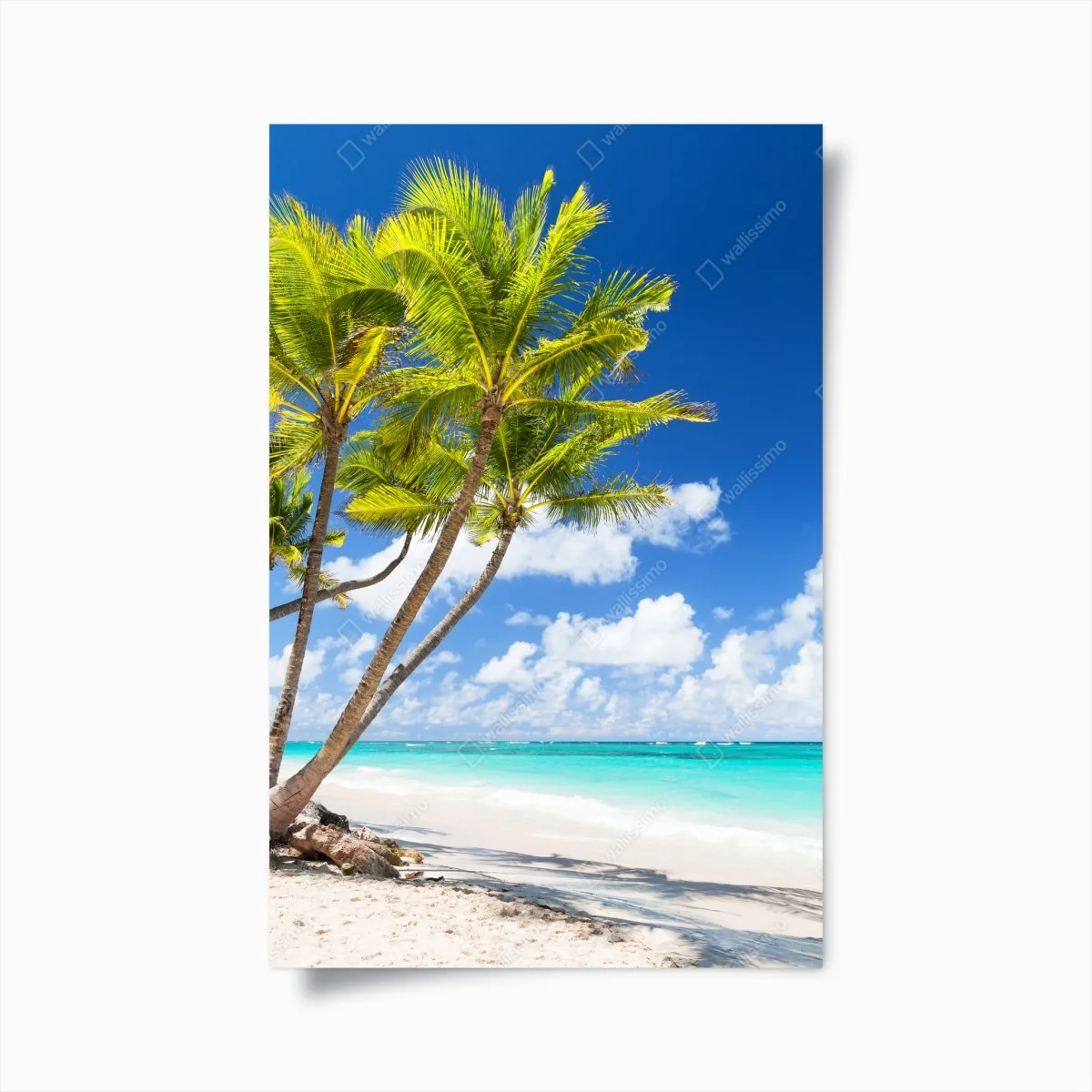 Poster tropischer palmstrand in Punta Cana – Wallnifity®