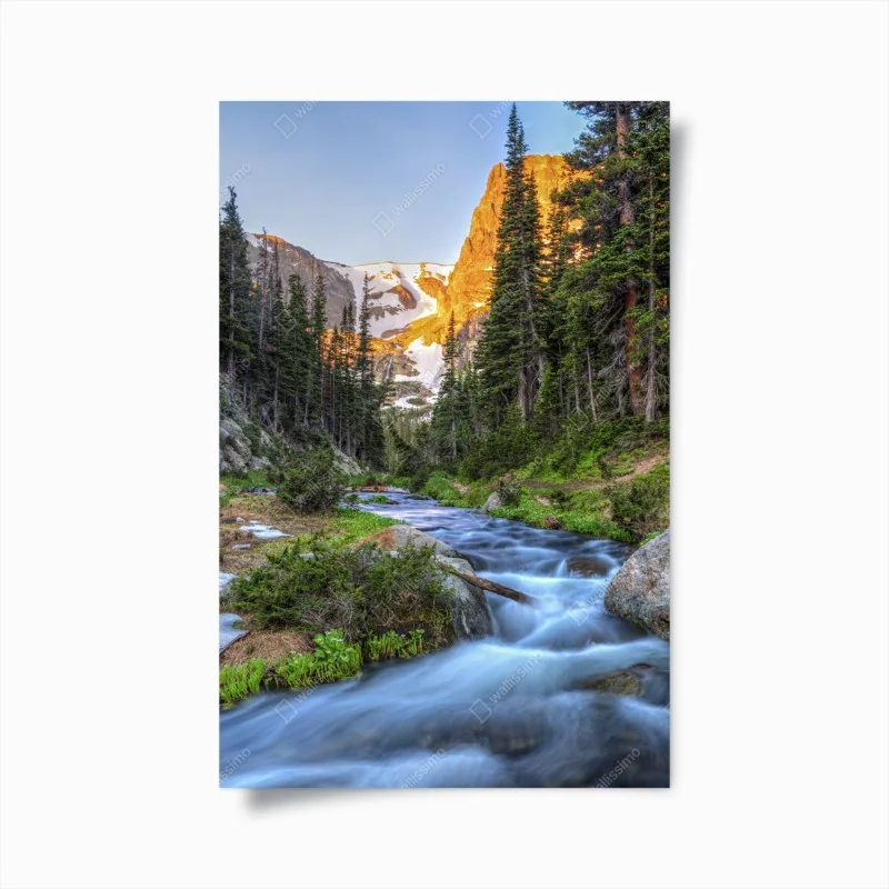 Poster elegantes anthurium vor rotem hintergrund – Wallnifity®