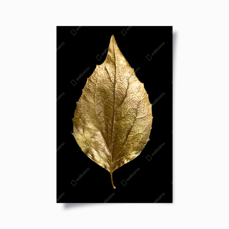 Poster goldenes blatt auf schwarzem hintergrund