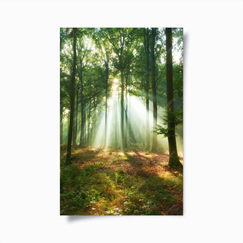 Poster nachtmarmor mit goldenen adern – Wallnifity®