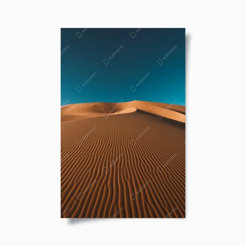 Poster tropischer palmenstrand unter blauem himmel – Wallnifity®