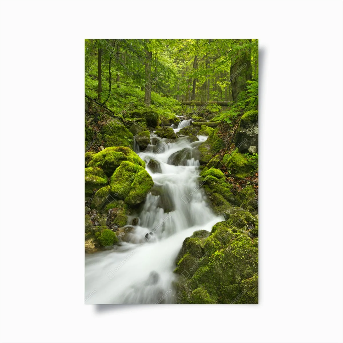 Poster moosiger wasserfall – Wallnifity® Poster moosiger wasserfall – Wallnifity®