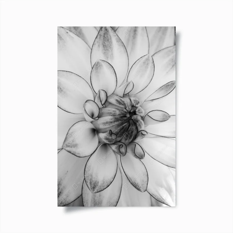 Poster aquarellmuster mit vogelbeeren – Wallnifity®