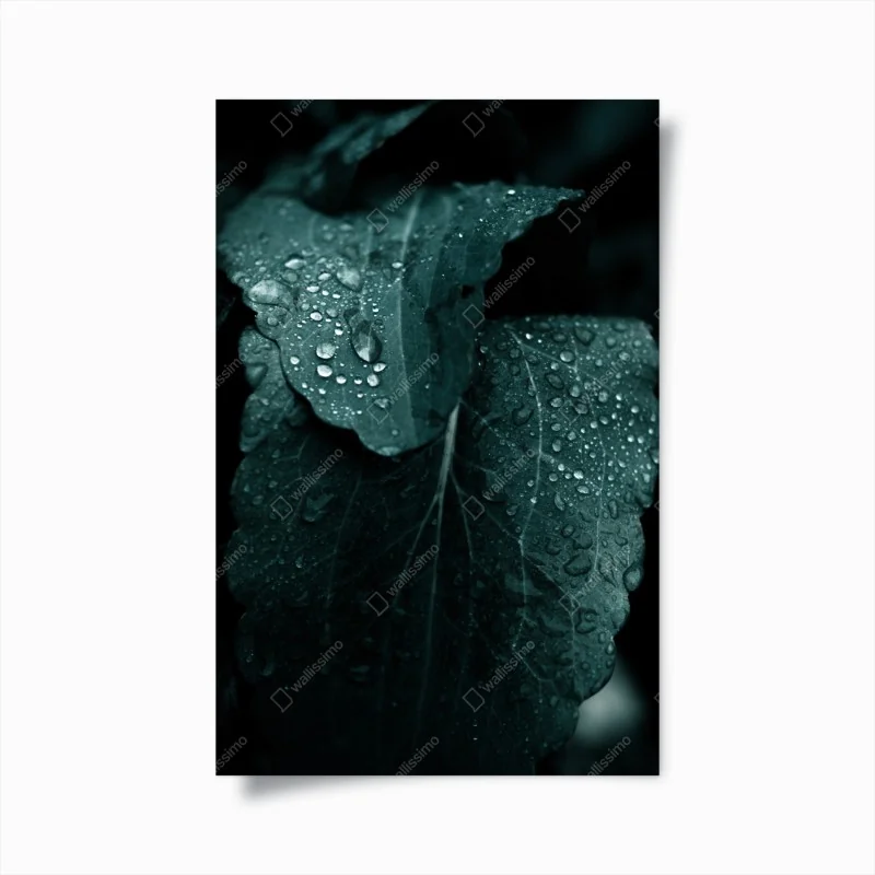 Poster goldener sonnenuntergang über ruhigem see – Wallnifity®