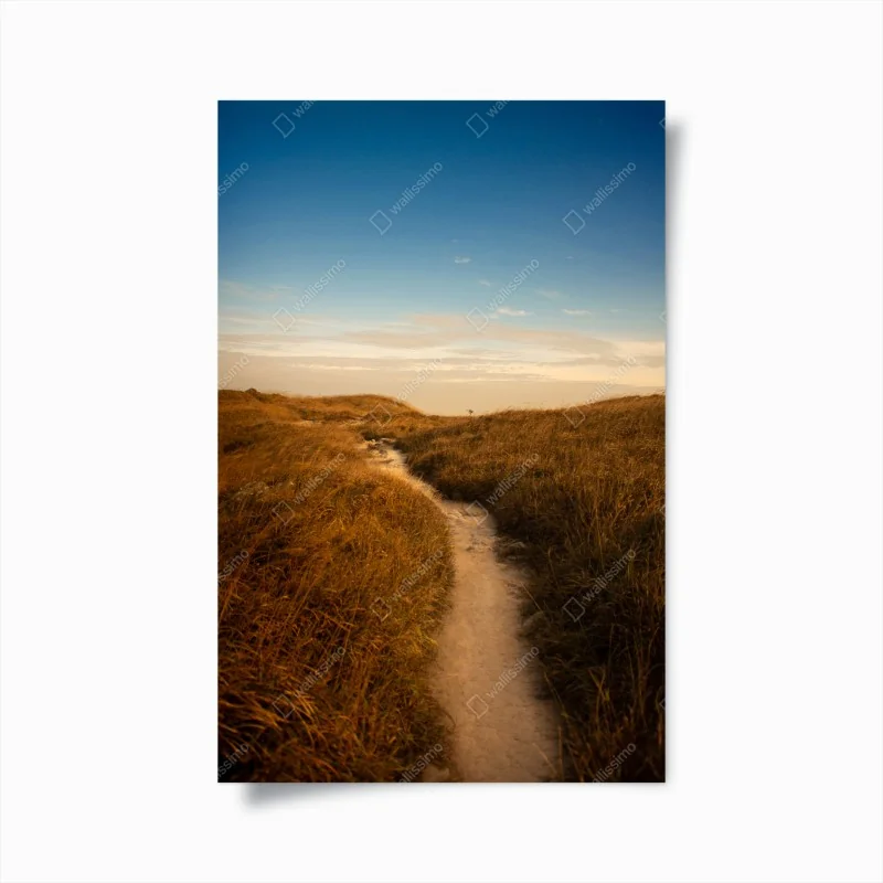 Poster nebliger regenwald mit baumkronen – Wallnifity®