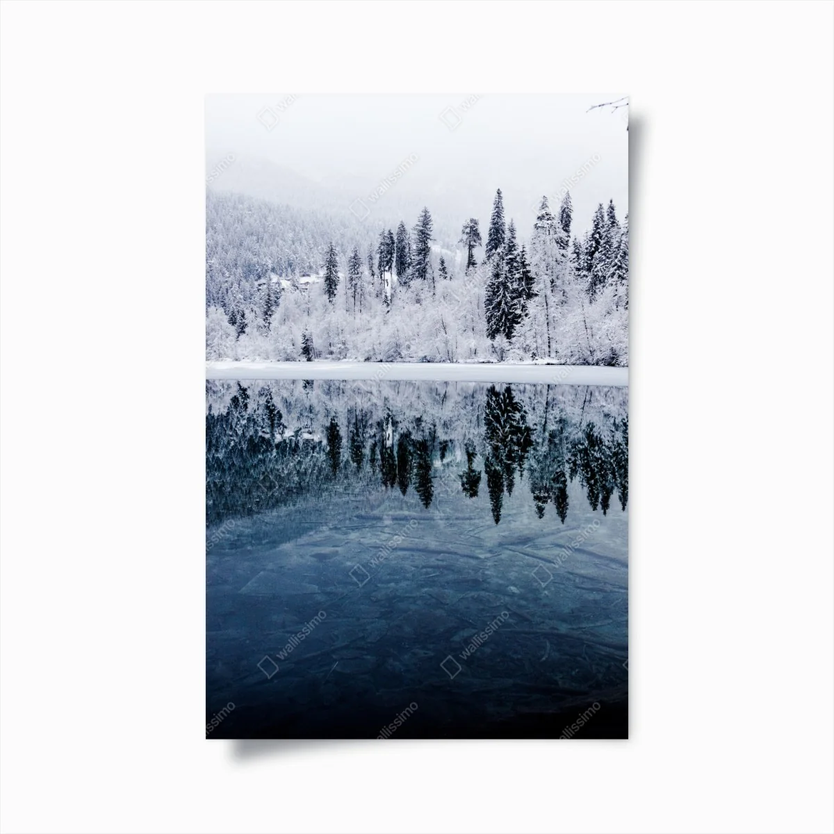 Poster winterlicher see mit spiegelung im verschneiten wald – Wallnifity® Poster winterlicher see mit spiegelung im verschneiten wald – Wallnifity®