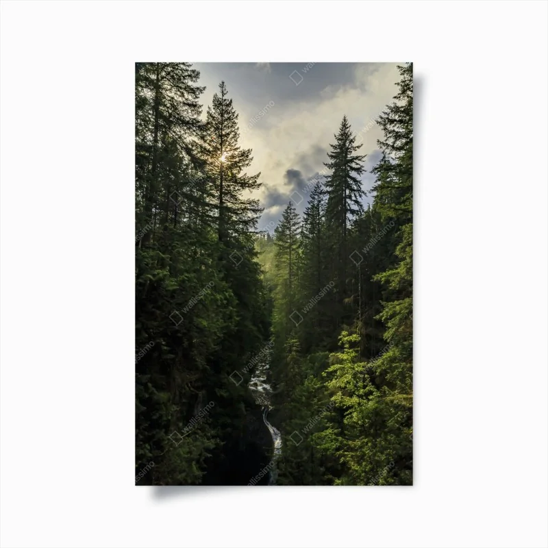 Poster nebliger immergrüner wald mit wasserfall
