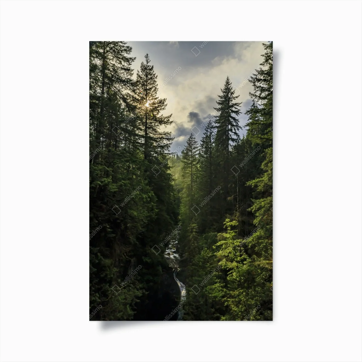 Poster nebliger immergrüner wald mit wasserfall – Wallnifity® Poster nebliger immergrüner wald mit wasserfall – Wallnifity®