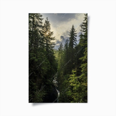 Poster nebliger immergrüner wald mit wasserfall – Wallnifity®