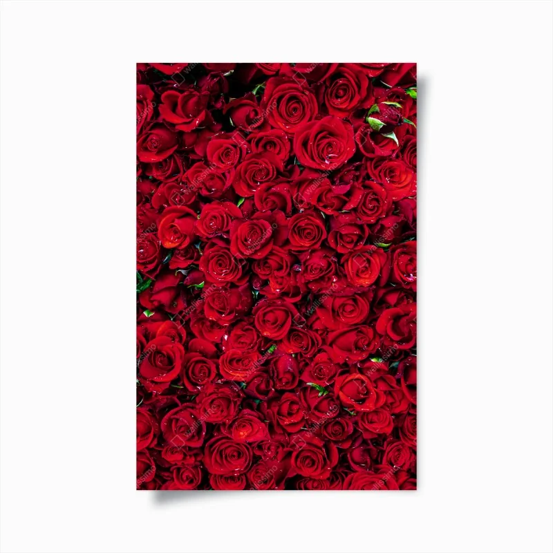 Poster dichte wand aus roten rosen