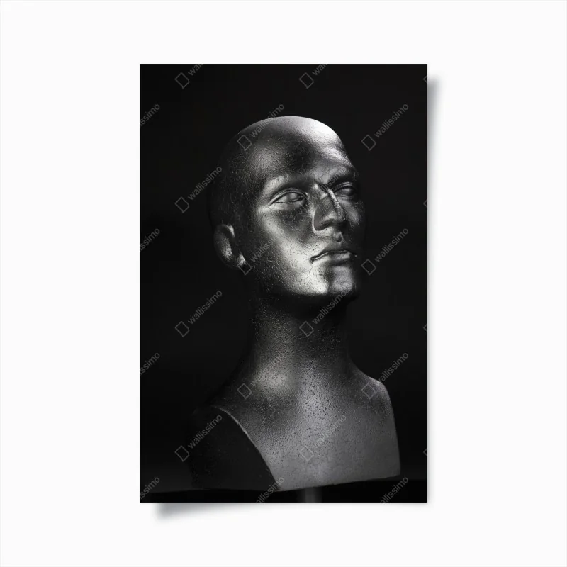 Poster frühlingshafte panoramalandschaft der Tatra, Slowakei – Wallnifity®