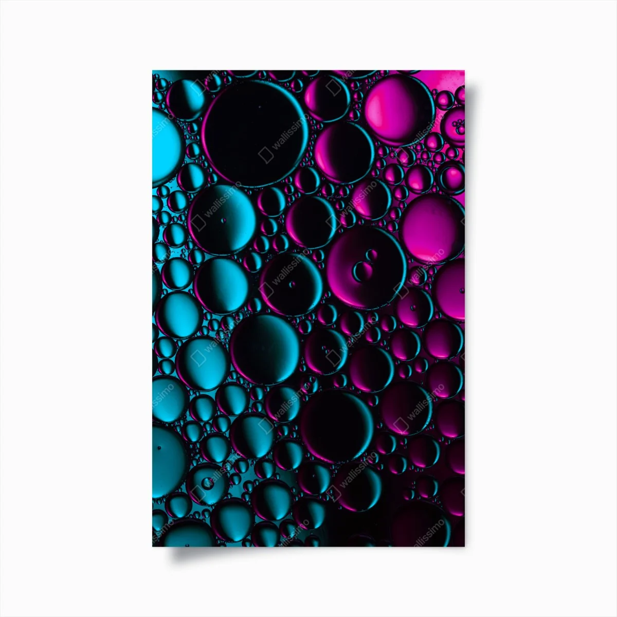 Poster türkis-magenta blasenmuster – Wallnifity®