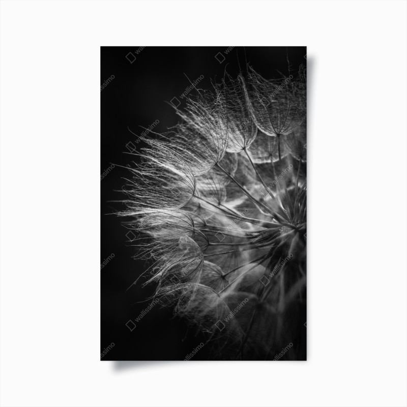 Poster gewundene straße durch die berge – Wallnifity®