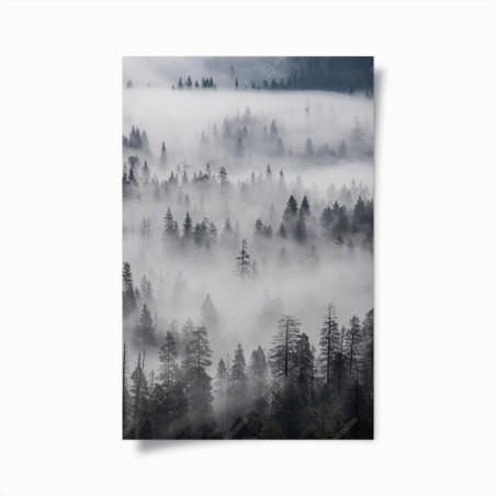 Poster nebeliger kiefernwald – Wallnifity®