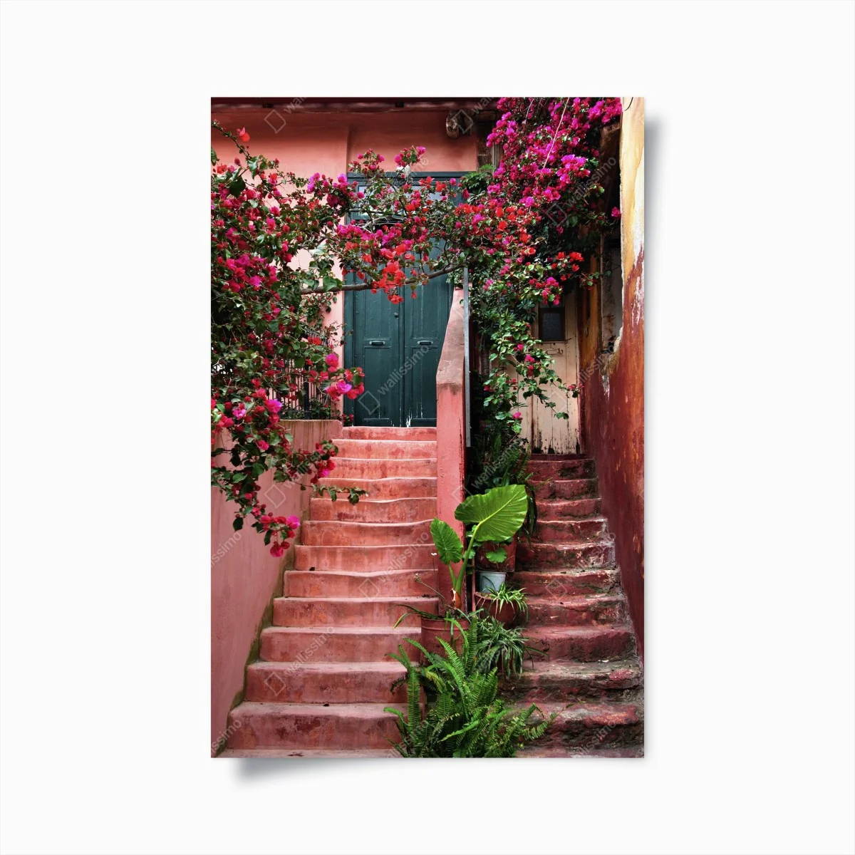 Poster treppe mit bougainvillea und grünen pflanzen – Wallnifity® Poster treppe mit bougainvillea und grünen pflanzen – Wallnifity®