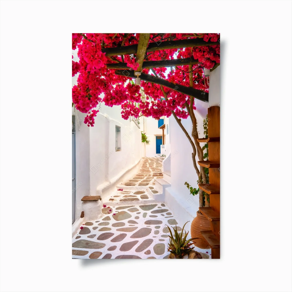 Poster sonnige gasse in Griechenland mit bougainvillea – Wallnifity® Poster sonnige gasse in Griechenland mit bougainvillea – Wallnifity®