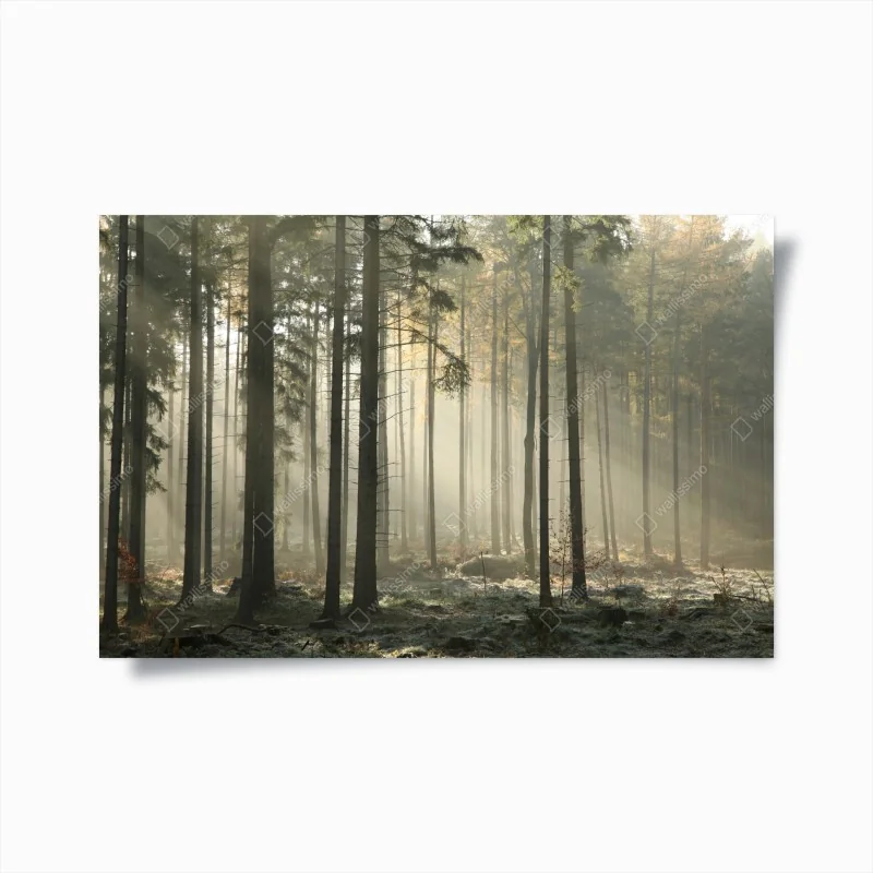 Poster sonnige kopfsteinpflastergasse – Wallnifity®