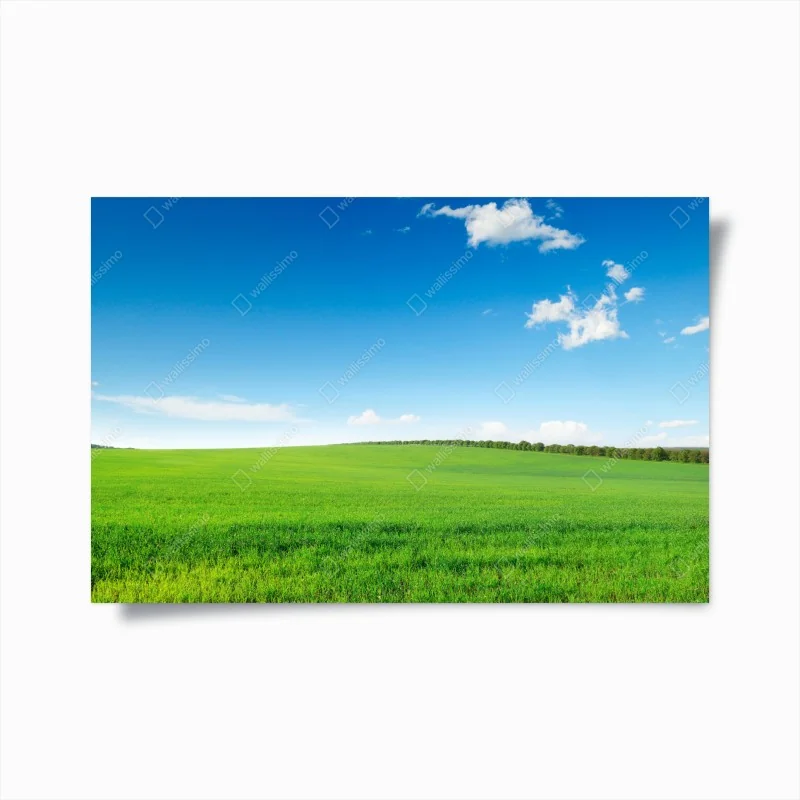 Poster tiefblauer sternenhimmel – Wallnifity®