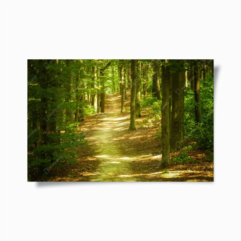 Poster ruhige blaue wellen mit goldakzenten – Wallnifity®