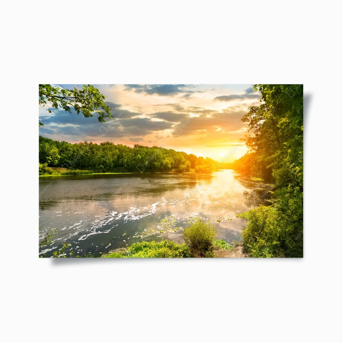 Poster ruhiger sonnenuntergang am fluss im grünen wald – Wallnifity® Poster ruhiger sonnenuntergang am fluss im grünen wald – Wallnifity®