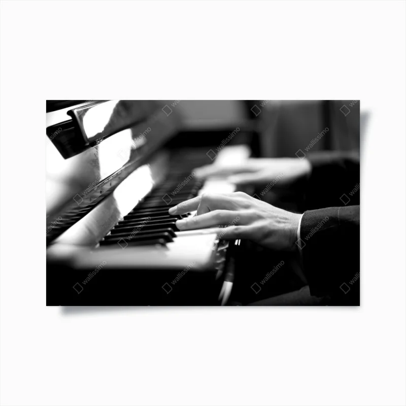 Poster ruhiger grüner waldweg – Wallnifity®