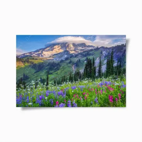 Poster alpine blumenwiese vor schneebedeckten bergen – Wallnifity®
