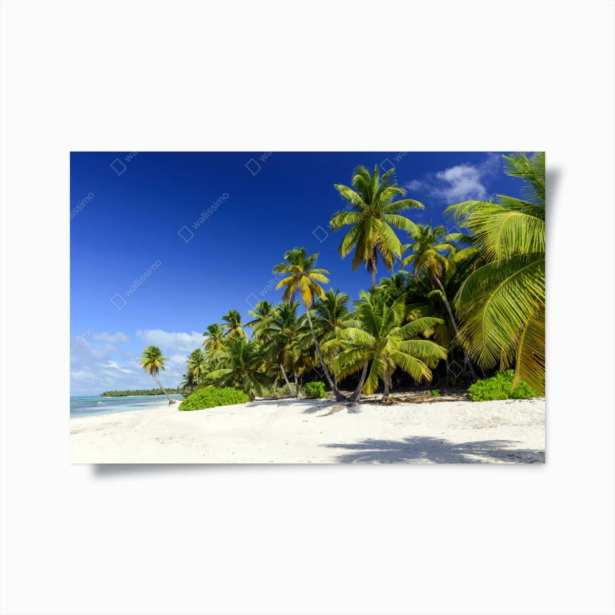 Poster ruhiger tropischer strand in Punta Cana – Wallnifity®