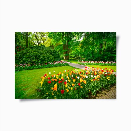 Poster lebendiger tulpengarten in Keukenhof – Wallnifity®