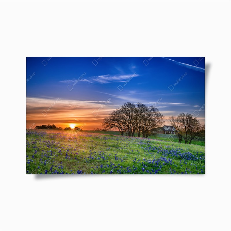 Poster elegante geigensilhouette auf schwarzem hintergrund – Wallnifity®