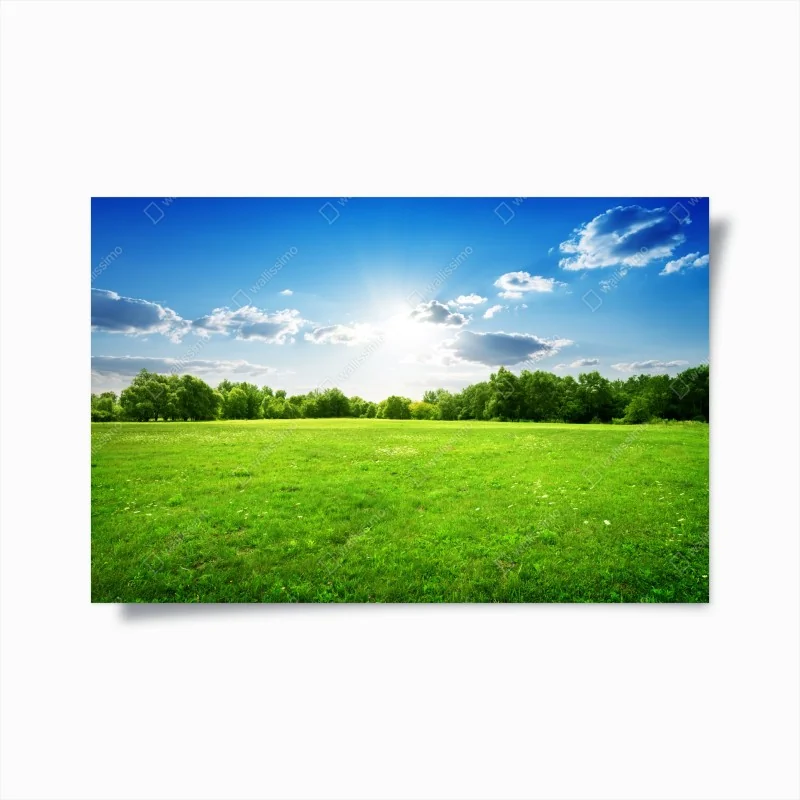 Poster tropischer strand mit palmen und segelboot – Wallnifity®